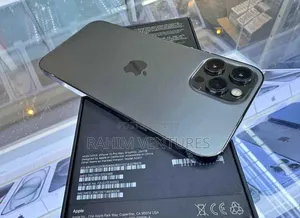 Apple iPhone 12 Pro Max 128 GB Gray