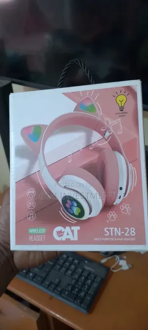 Cat Ear Headphones