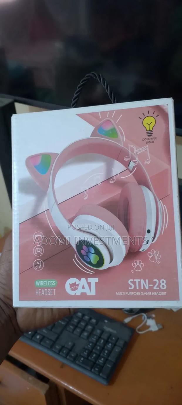 Cat Ear Headphones - main view