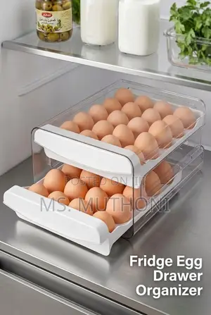 2-Tier Stackable 32 Eggs Organizer Drawer for Refrigerator/ Countertop