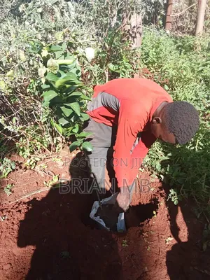 Farm Caretaker , and Home Keeping