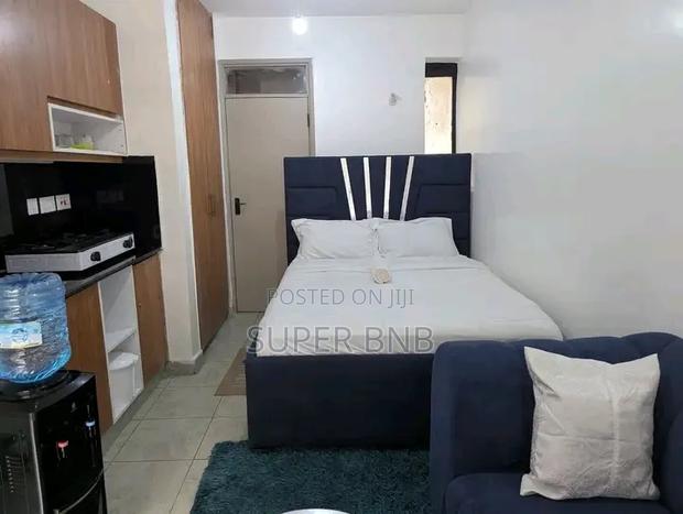 Studio Airbnb in Kisumu Makasembo Estate. - thumbnail 8
