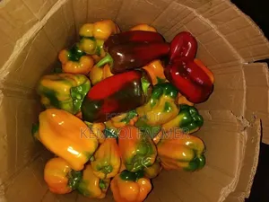 Capsicums Both Green and Colored
