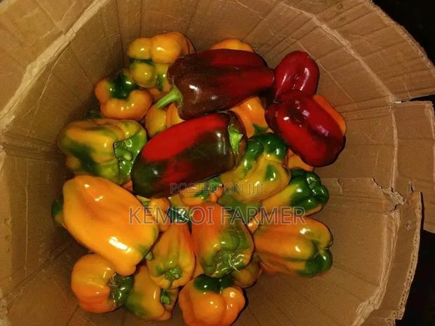 Capsicums Both Green and Colored - thumbnail 3
