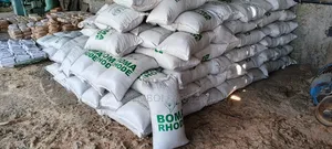 Bomarhodes Seeds