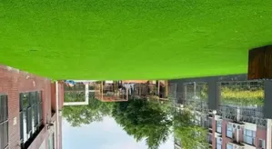 House Rooftops Grass Carpets Grass Carpets Environmental Friendly