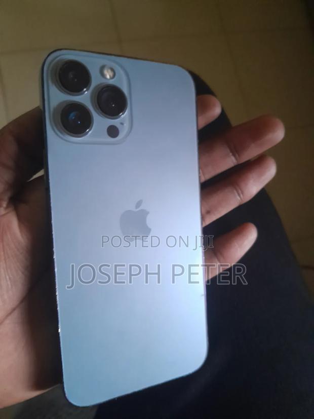 Apple iPhone 13 Pro Max 256 GB Gray
