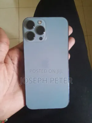 Apple iPhone 13 Pro Max 256 GB Gray