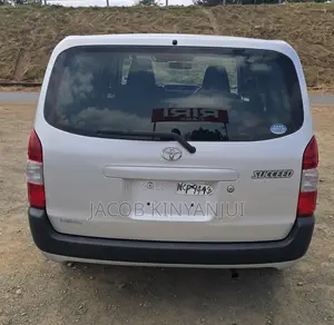 Toyota Succeed 2019 Silver