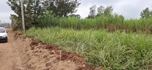 1/2 Acre At Kagongo-karura Road Near Gachie (20 Million)