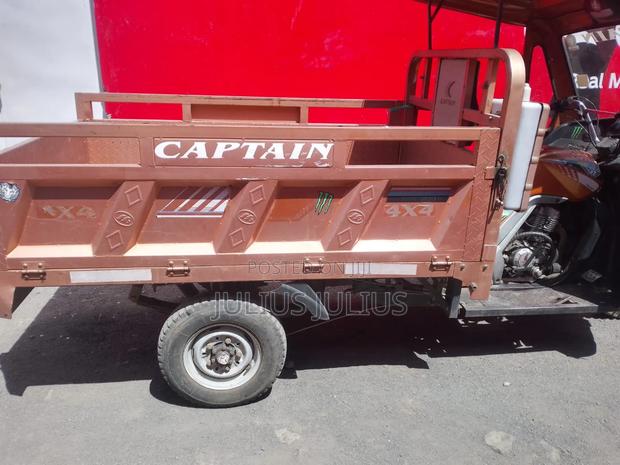 Captain CP175 2022 Brown - thumbnail 5