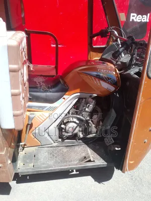 Captain CP175 2022 Brown