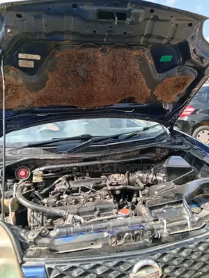 Nissan X-Trail 2005 Blue