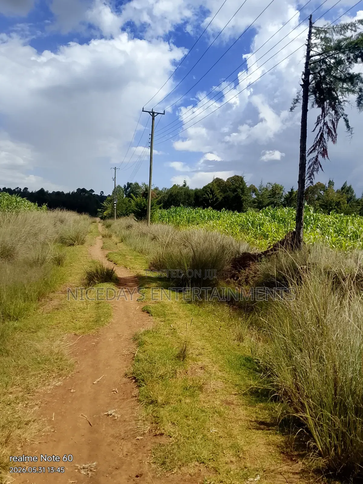 Six Acres for Sale in Nyandarua Ndaragwa1.1m Per Acre Good for Farming