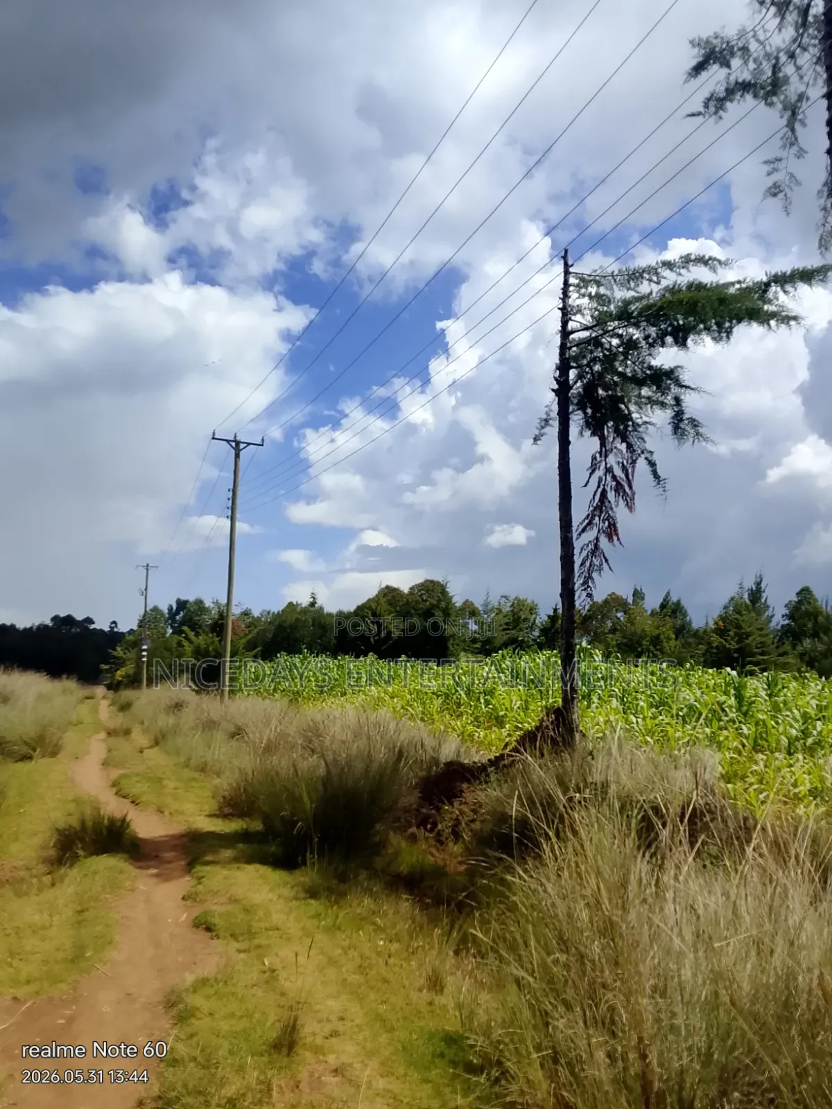 Six Acres for Sale in Nyandarua Ndaragwa1.1m Per Acre Good for Farming