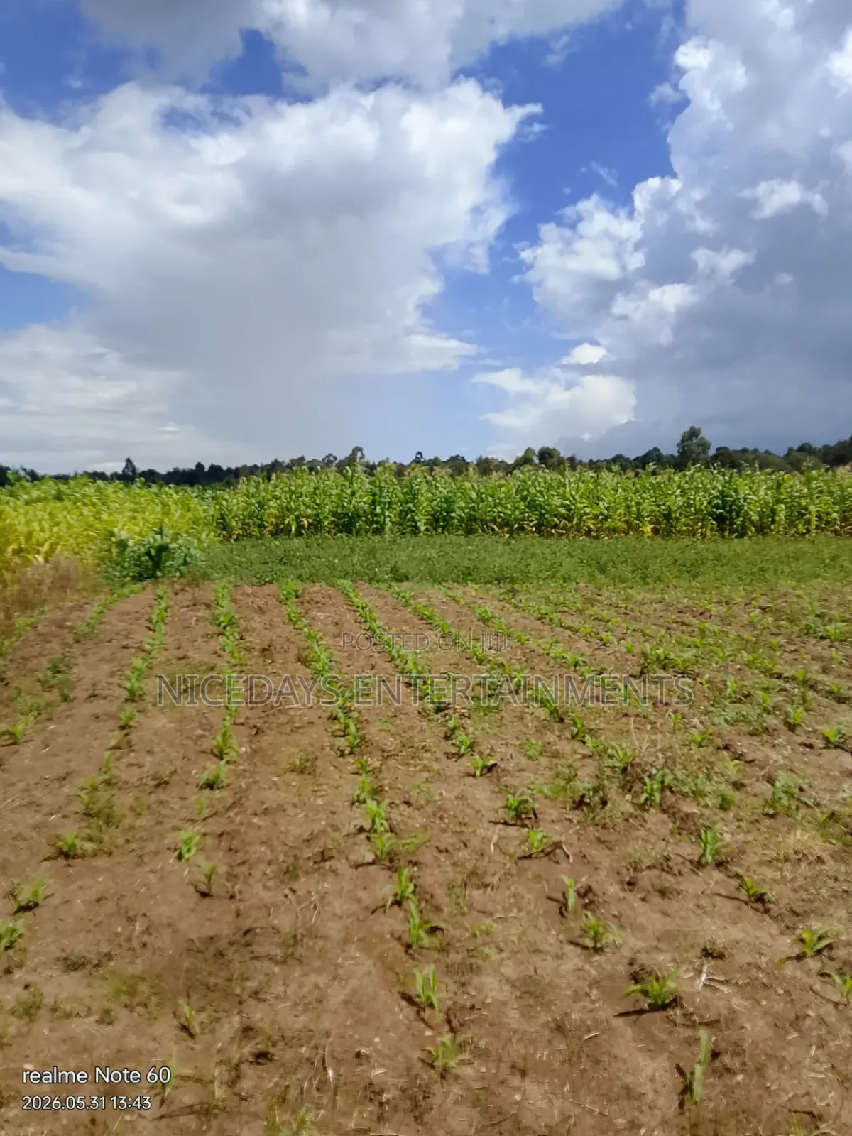 Six Acres for Sale in Nyandarua Ndaragwa1.1m Per Acre Good for Farming