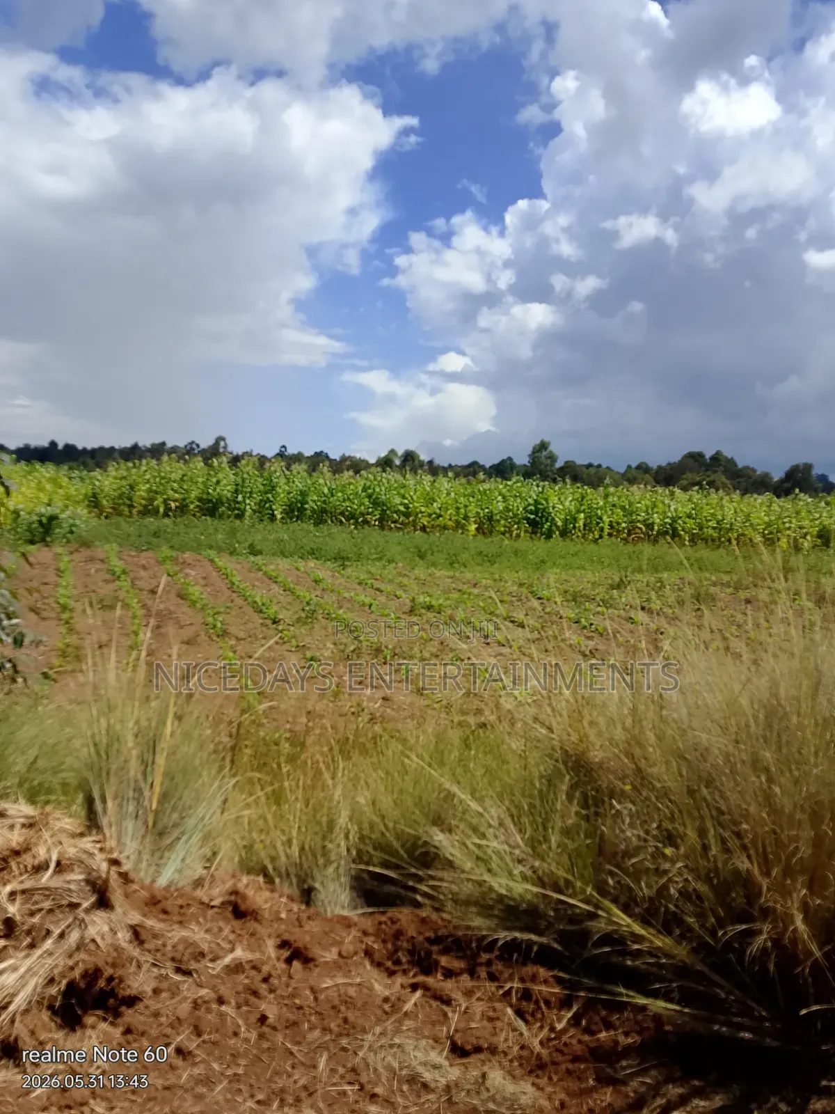 Six Acres for Sale in Nyandarua Ndaragwa1.1m Per Acre Good for Farming