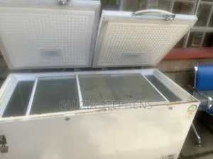 2 in 1 Fridge-Freezer Chest