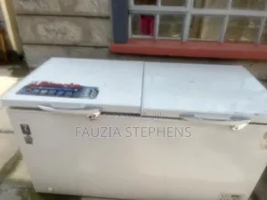 2 in 1 Fridge-Freezer Chest