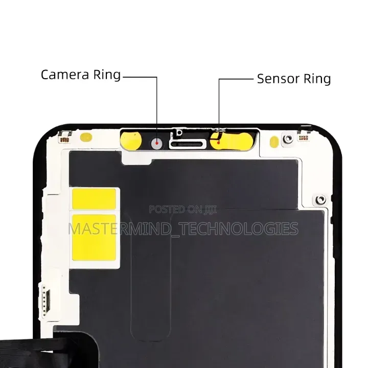 iPhone 11 Pro Max Screen