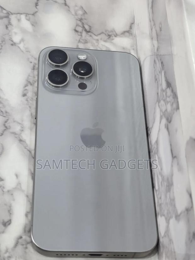 Apple iPhone 15 Pro Max 256 GB Silver