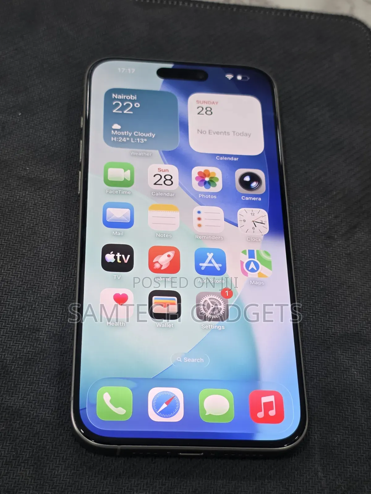 Apple iPhone 15 Pro Max 256 GB Gray