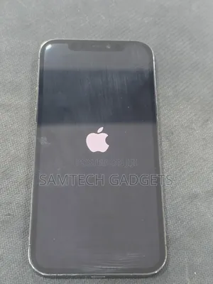Apple iPhone 12 Pro 256 GB Gray