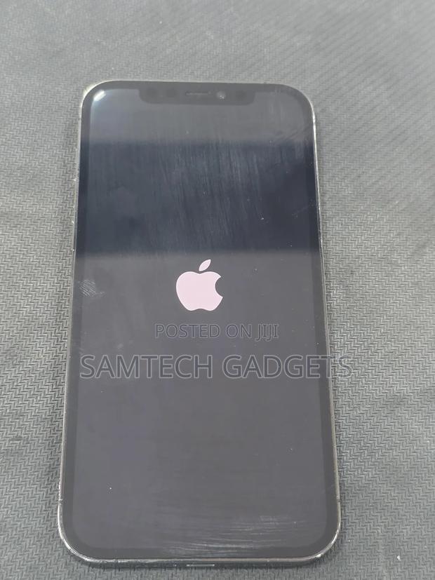 Apple iPhone 12 Pro 256 GB Gray - thumbnail 2