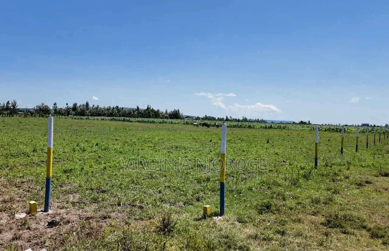 Plots on Sales