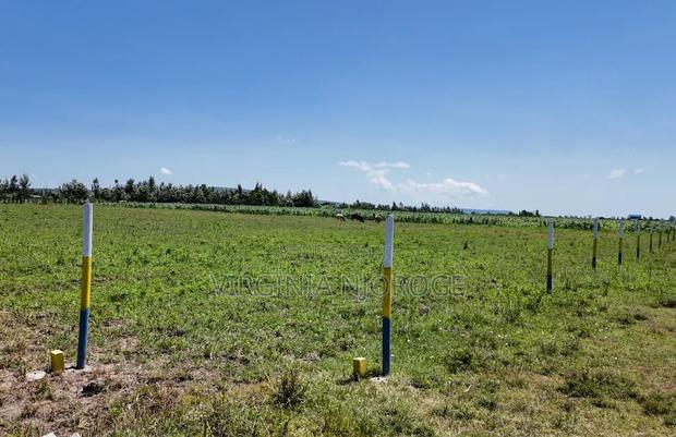 Plots on Sales