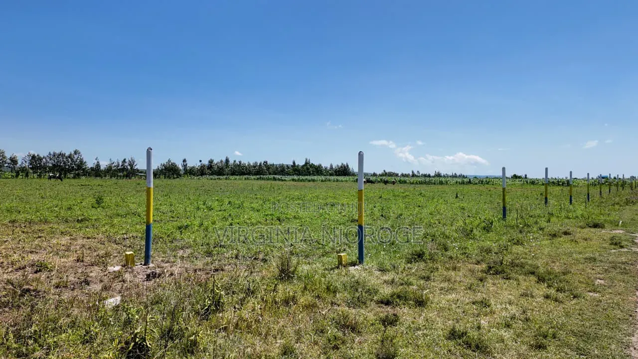 Plots on Sales