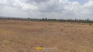 9acres Nairutia Touching Tarmac.