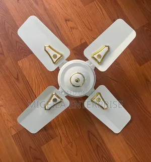 Ceiling Fan Roch 24 Inches