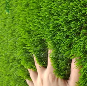 Original 35mm Grass Carpets Grass Carpets Environmental Friendly