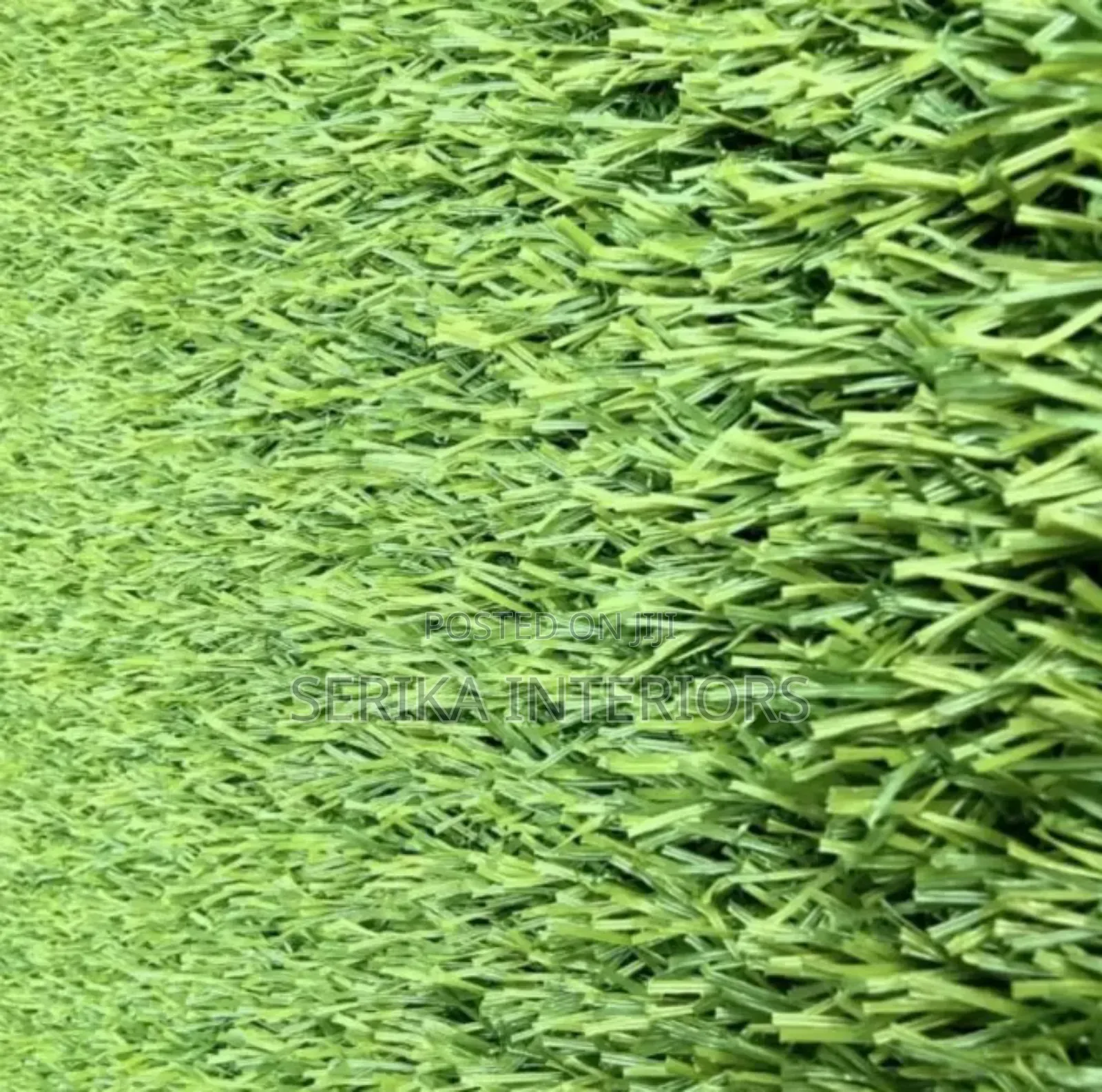 20mm Grass Carpets Grass Carpets Environmental Friendly Robertson's