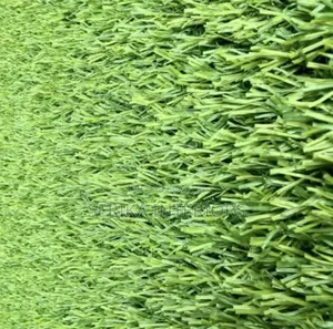 20mm Grass Carpets Grass Carpets Environmental Friendly Robertson's