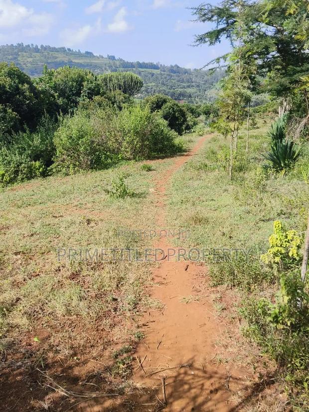 5.8 Acres at Mua Hills - thumbnail 3