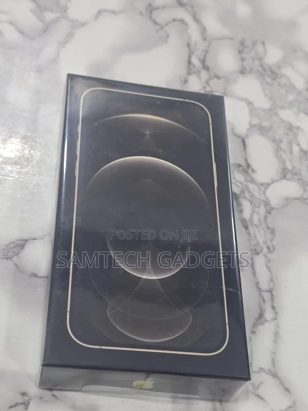 New Apple iPhone 12 Pro Max 256 GB Gold - thumbnail 3
