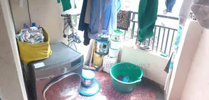 Cleaning Services