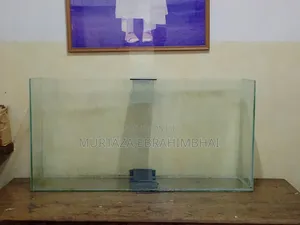 Fish Aquarium