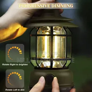 Multifunctional Camping Light*