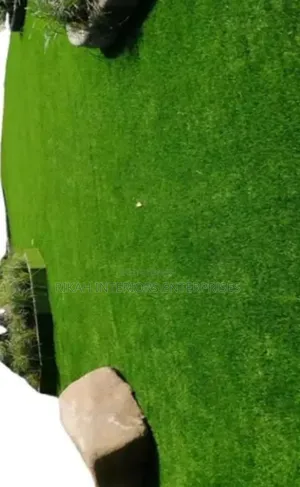 Landscaping Grass Carpets Grass Carpets Environmental Friendly Justin