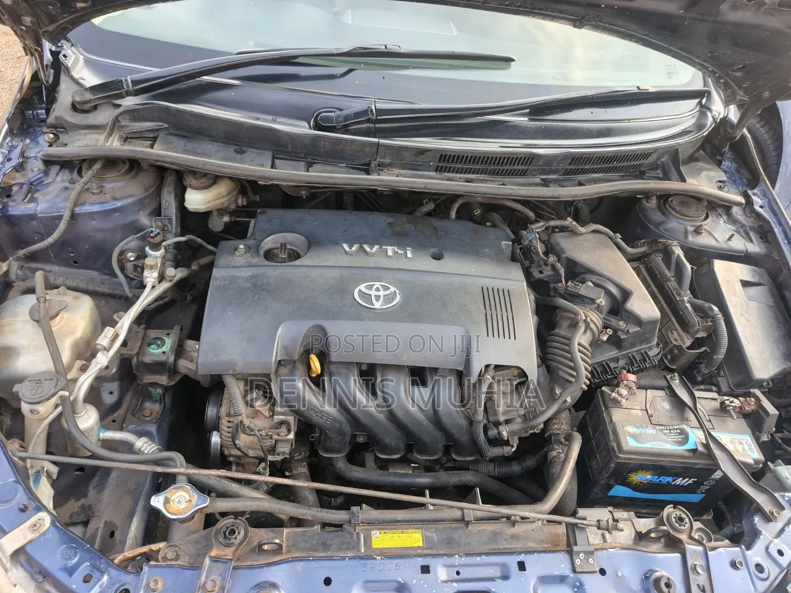 Toyota Axio 2008 Blue