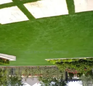 Artificial Grass Carpets Grass Carpets Environmental Friendly Justice