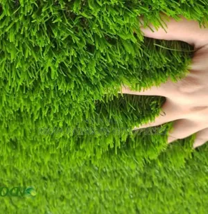 Good Thickness Grass Carpets Grass Carpets Environmental Friendly