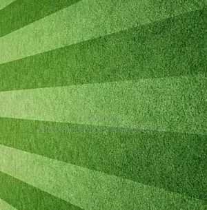 Open Football Pitch Grass Carpets Grass Carpets Environmental Friendly