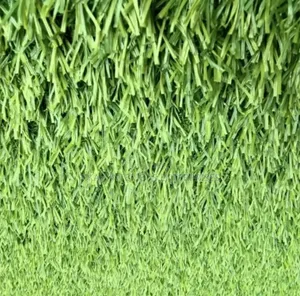 Wall Grass Carpets Grass Carpets Environmental Friendly Robertson's