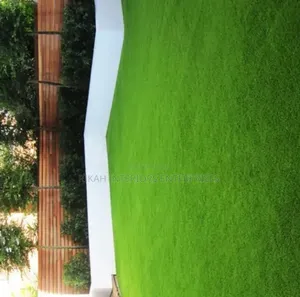 Artificial Grass Carpets Grass Carpets Environmental Friendly Justice