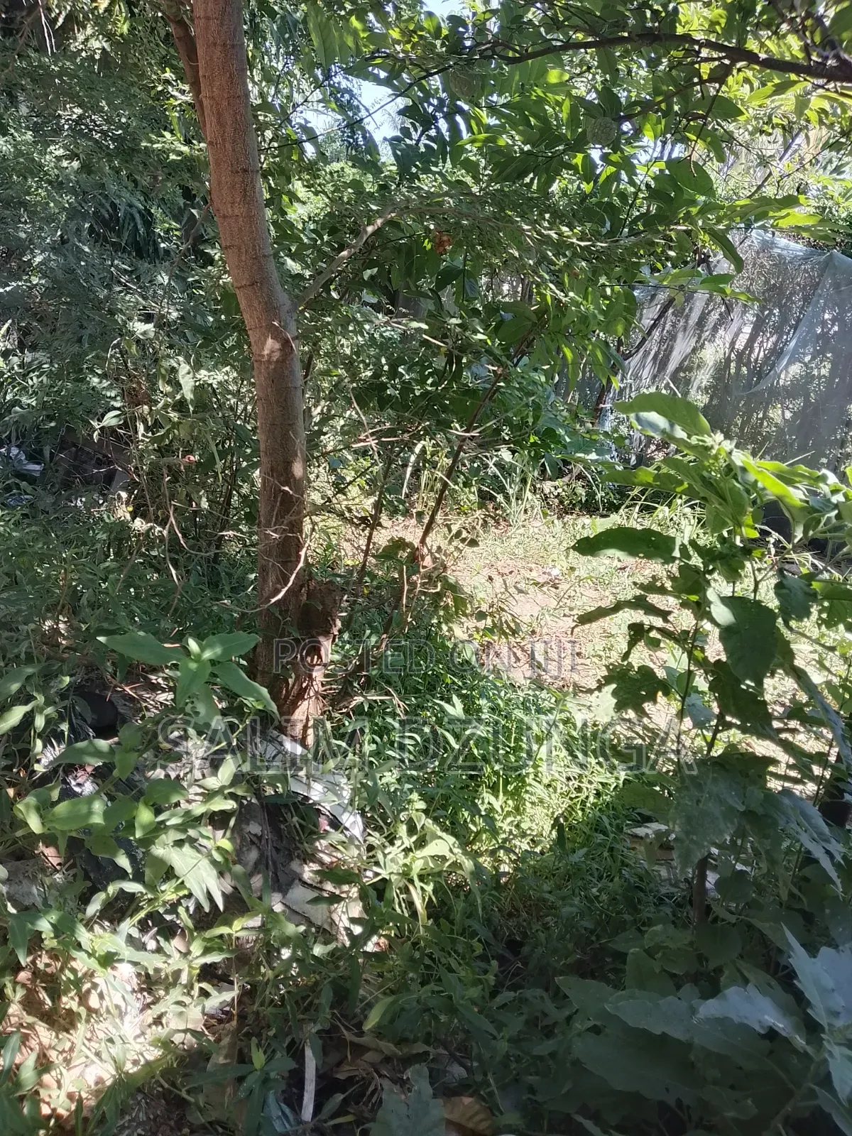 Land Properties for Sale