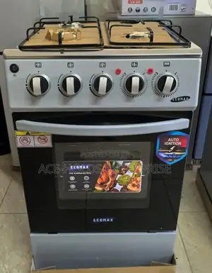 Ecomax Quality Standing Gas Cooker - 50*55 Rapid Plate, 3+1